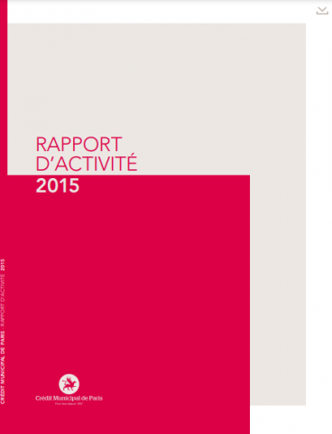 Rapport annuel 2015